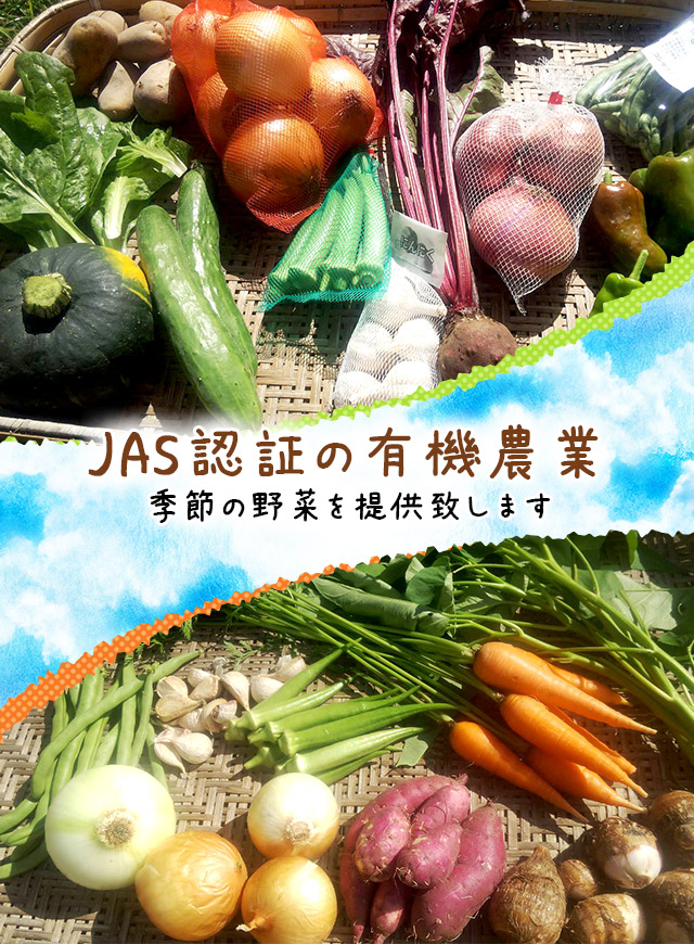 JAS認証の有機農業。季節の野菜を提供致します。