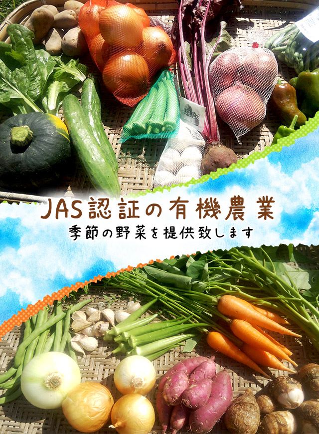 JAS認証の有機農業。季節の野菜を提供致します。